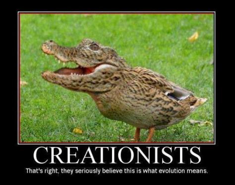 kreationismus